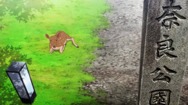 Deer and distant view in Nara Park